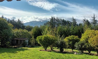 Rento hermosa Cotacachi 1000 m2