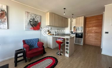 DEPARTAMENTO EN ARRIENDO OPCION AMOBLADO