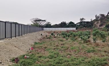 Local Comercial de 80000 m² en alquiler en La Aurora sector sabanilla