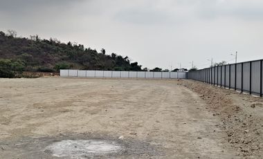 Local Comercial de 80000 m² en alquiler en La Aurora sector sabanilla