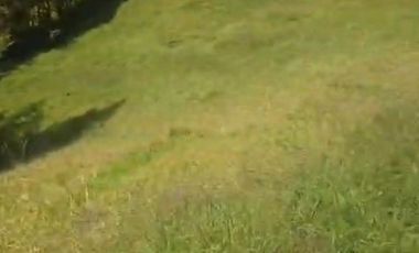 LOTE VEREDA LA PORQUERA ANTIOQUIA