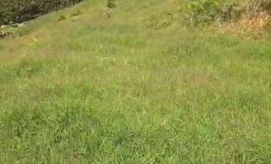 LOTE VEREDA LA PORQUERA ANTIOQUIA