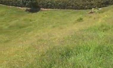 LOTE VEREDA LA PORQUERA ANTIOQUIA