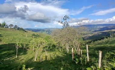 FINCA GANADERA LA CUMBRE