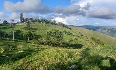 FINCA GANADERA LA CUMBRE
