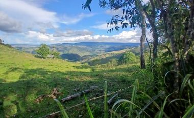 FINCA GANADERA LA CUMBRE
