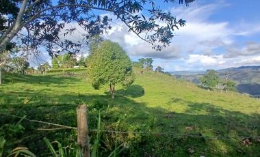 FINCA GANADERA LA CUMBRE
