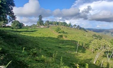 FINCA GANADERA LA CUMBRE