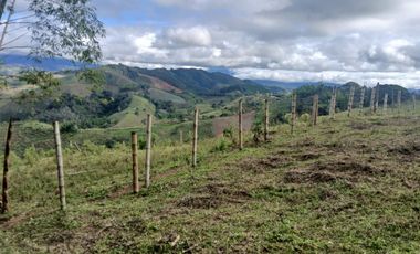 FINCA GANADERA LA CUMBRE