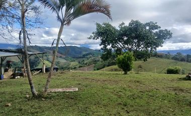 FINCA GANADERA LA CUMBRE