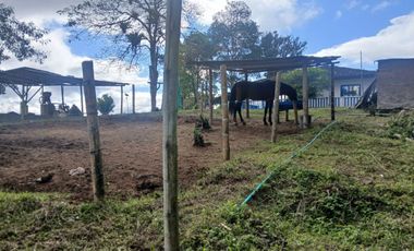 FINCA GANADERA LA CUMBRE