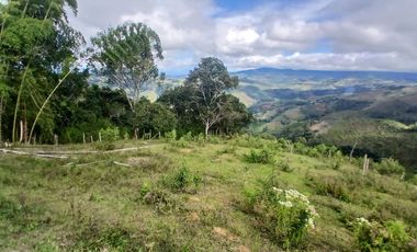 FINCA GANADERA LA CUMBRE
