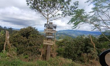 FINCA GANADERA LA CUMBRE