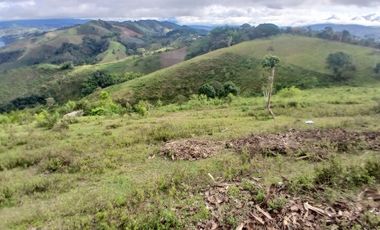 FINCA GANADERA LA CUMBRE