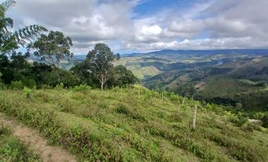 FINCA GANADERA LA CUMBRE