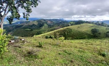 FINCA GANADERA LA CUMBRE