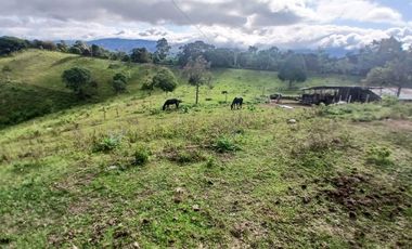 FINCA GANADERA LA CUMBRE