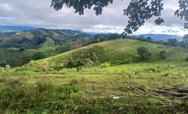 FINCA GANADERA LA CUMBRE