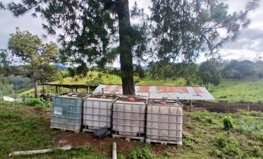 FINCA GANADERA LA CUMBRE