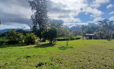 FINCA GANADERA LA CUMBRE