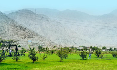 Tu Casa de Campo en Sol de Covilla: Lotes desde 277 m² con Áreas Verdes