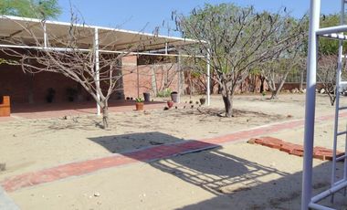 VENTA TERRENO CERCADO EN LOS EJIDOS PIURA