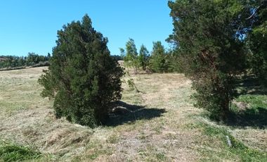 Parcela en Parcelación Colonos del Lago Llanquihue Puerto Varas