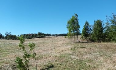 Parcela en Parcelación Colonos del Lago Llanquihue Puerto Varas