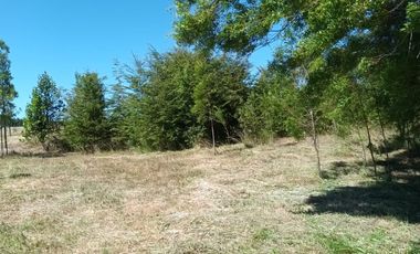 Parcela en Parcelación Colonos del Lago Llanquihue Puerto Varas