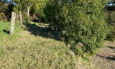 Parcela en Parcelación Colonos del Lago Llanquihue Puerto Varas