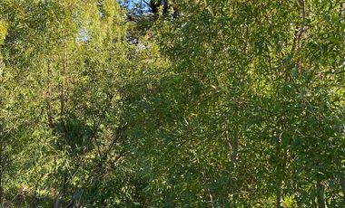 Parcela en Parcelación Colonos del Lago Llanquihue Puerto Varas