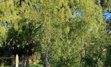 Parcela en Parcelación Colonos del Lago Llanquihue Puerto Varas
