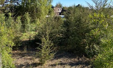 Parcela en Parcelación Colonos del Lago Llanquihue Puerto Varas