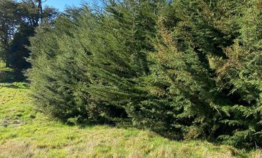 Parcela en Parcelación Colonos del Lago Llanquihue Puerto Varas