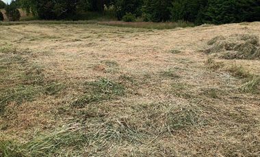Parcela en Parcelación Colonos del Lago Llanquihue Puerto Varas