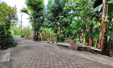 Land With Beautiful Location at Benoa, Suitable for House or Villa, Close to Bali Mandara Toll Roads and ITDC Nusa Dua