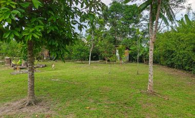 Dijual Villa Tengah Kota Kendari Tanah Luas dan Lingkungan Sudah Terbentuk