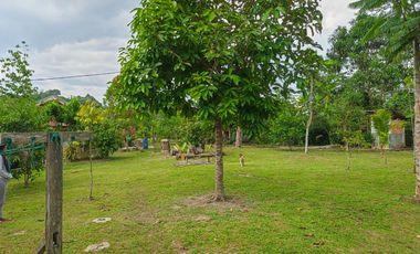 Dijual Villa Tengah Kota Kendari Tanah Luas dan Lingkungan Sudah Terbentuk