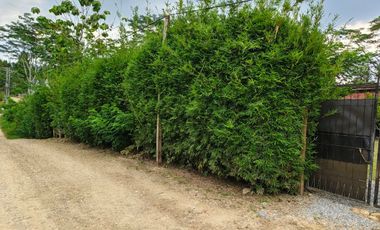 Dijual Villa Tengah Kota Kendari Tanah Luas dan Lingkungan Sudah Terbentuk