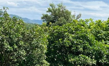 Dijual Cepat! Kavling Titiswari Good View Danau di Kota Baru Parahyangan