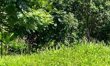 Dijual Cepat! Kavling Titiswari Good View Danau di Kota Baru Parahyangan