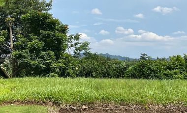 Dijual Cepat! Kavling Titiswari Good View Danau di Kota Baru Parahyangan