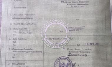 FOR SALE – Modern Concept House, Sobo – Banyuwangi