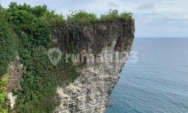 Dijual cepat Tanah los  tebing Laut Nyang-Nyang Uluwatu