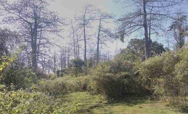 Dijual cepat tanah los  tebing view Pantai Pasir Putih sebelah Ayana Jimbaran