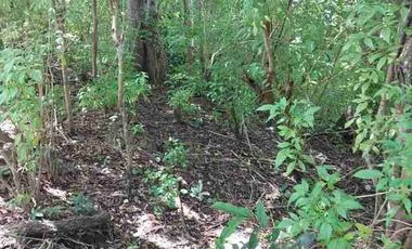 Dijual cepat tanah los  tebing view Pantai Pasir Putih sebelah Ayana Jimbaran