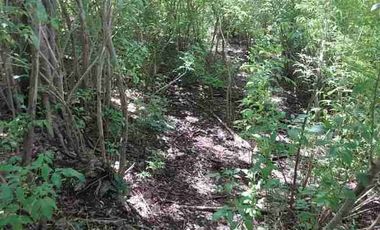 Dijual cepat tanah los  tebing view Pantai Pasir Putih sebelah Ayana Jimbaran