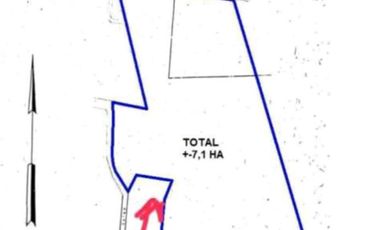 Dijual cepat tanah los  tebing view ocean di sebelah Savaya / Alila