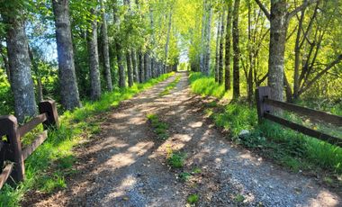 PROPIEDAD DE CASI UNA HECTAREA SECTOR ANGACHILLA