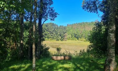 PROPIEDAD DE CASI UNA HECTAREA SECTOR ANGACHILLA